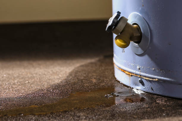 Best Commercial water damage restoration  in Two Harbors, MN