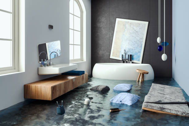 Best 24/7 water damage repair  in Two Harbors, MN