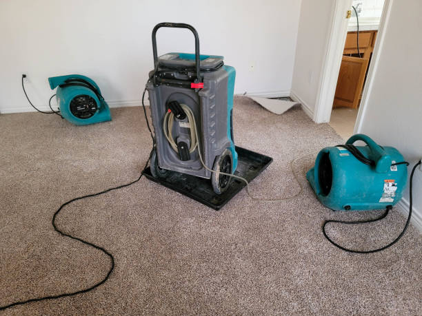 Best Carpet water damage restoration  in Two Harbors, MN