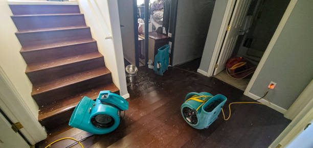 Best Carpet water damage restoration  in Two Harbors, MN