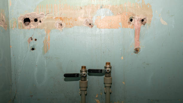 Best Water damage restoration near me  in Two Harbors, MN